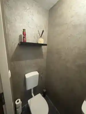 Toilet luxury wandafwerking .jpg