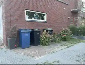 🌿 Voortuin Transformatie – Een Eerste Indruk om Trots op te Zijn!.jpg