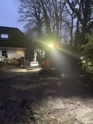 Bomen en planten verwijderen bestrating aanleggen .jpg