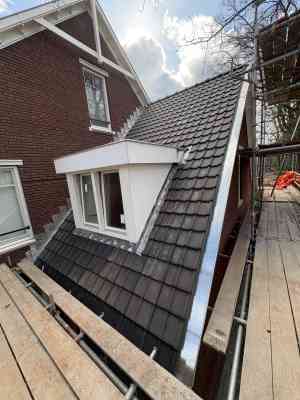 dakdekker_den-bosch_Dakonderhoud_Tolk_7.jpg