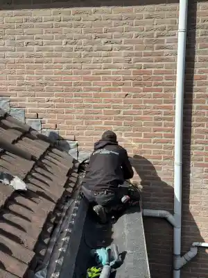 dakdekker_breda_DakOnderhoud_Direct_2.jpg