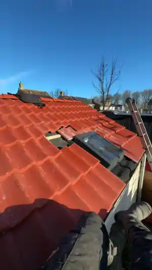 dakdekker_breda_DakOnderhoud_Direct_5.jpg