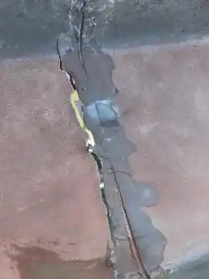 Dakgoot lekkage te Culemborg.jpg