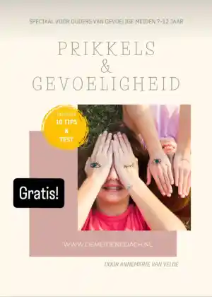 coaching_gouda_De_Meidencoach_4.jpg