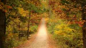 coaching_soest_Innerchanges:_De_plek_voor_Inspiratie,_Coaching,_Therapie_en_Trainingen_3.jpg