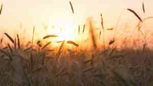coaching_soest_Innerchanges:_De_plek_voor_Inspiratie,_Coaching,_Therapie_en_Trainingen_6.jpg