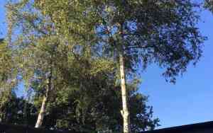 coaching_soest_Innerchanges:_De_plek_voor_Inspiratie,_Coaching,_Therapie_en_Trainingen_4.jpg