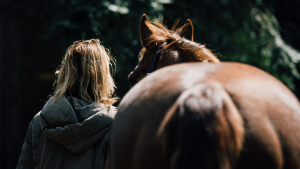 coaching_vessem_Bles_Coaching_-_Paardencoaching_2.jpg