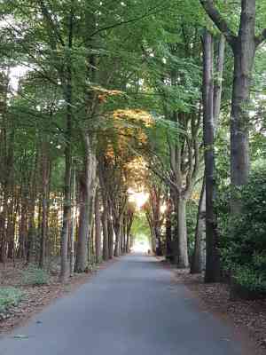 coaching_capelle-aan-den-ijssel_Mountain_Mind,_Coaching_&_Mindfulness_5.jpg