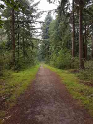 coaching_capelle-aan-den-ijssel_Mountain_Mind,_Coaching_&_Mindfulness_4.jpg