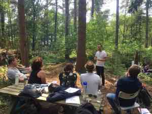 loopbaancoach_utrecht_Tree_Eleven_Training_&_Coaching_3.jpg
