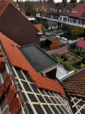 dakdekker_haarsteeg_Kauwenberg_Dakonderhoud_4.jpg