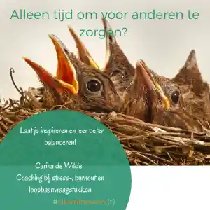 loopbaancoach_gouda_Vitamine_Werk_5.jpg