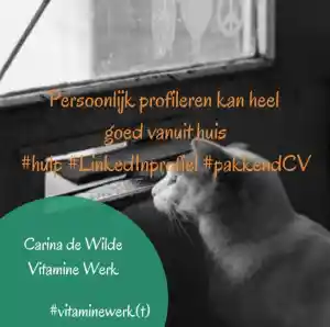 loopbaancoach_gouda_Vitamine_Werk_6.jpg