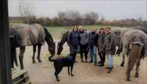 coaching_hazerswoude-rijndijk_Met_Gabry...&_paarden._Coaching_3.jpg