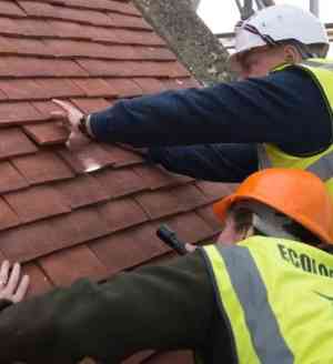 dakdekker_rotterdam_Wia_Dakbeheer_Rotterdam_3.jpg