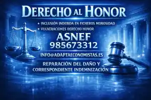 abogado_langreo_Adapta_Abogados_&_Economistas_S.L_7.jpg