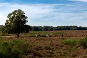 fotograaf_eemnes_Eyesmile_Fotografie_2.jpg