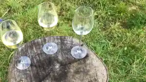 Een natuurgraf - eeuwige rust in de stilte van het bos.jpg