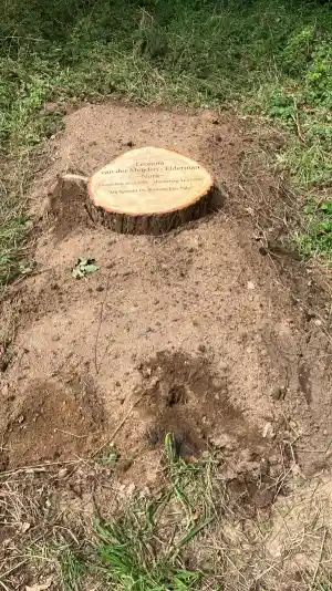 Een natuurgraf - eeuwige rust in de stilte van het bos.jpg
