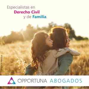 abogado_madrid_Opportuna_Abogados_4.jpg