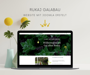 webdesign_neunkirchen-saar_RS_Webdesign_5.jpg