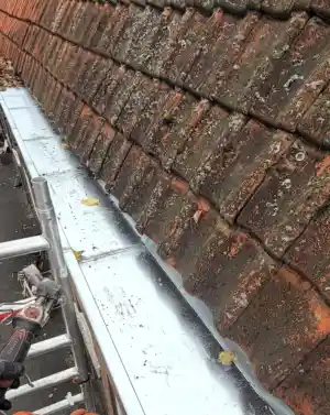 Nieuwe zinken dakgoot.jpg