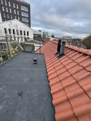 Pannendak + bitumen dak gerenoveerd .jpg