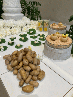 empresas-catering_madrid_The_Back_Office_Catering_3.jpg