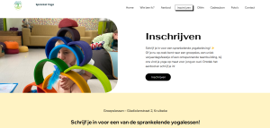webdesign_aalst_RammIT_4.jpg