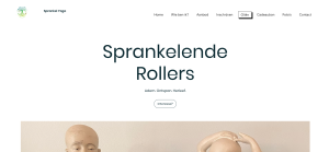 webdesign_aalst_RammIT_6.jpg
