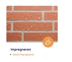 schoonmaakbedrijf_eindhoven_Roof_and_driveway_cleaning_service_5.jpg