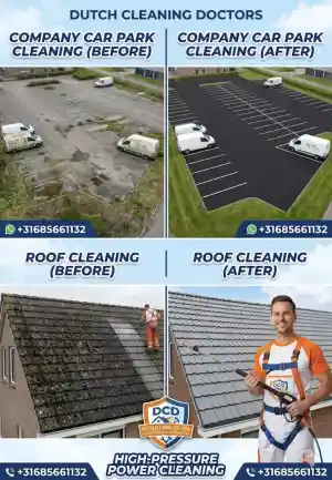 schoonmaakbedrijf_eindhoven_Roof_and_driveway_cleaning_service_7.jpg