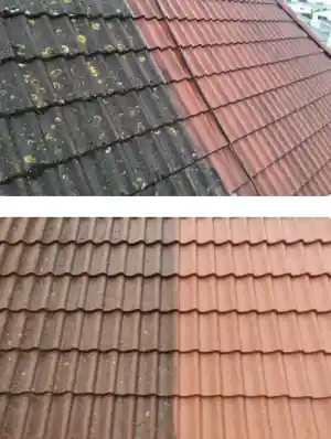 schoonmaakbedrijf_eindhoven_Roof_and_driveway_cleaning_service_3.jpg