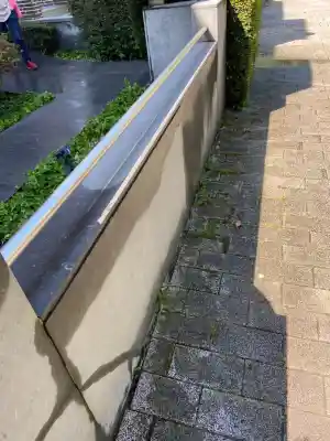 Opritten&terassen reining.jpg