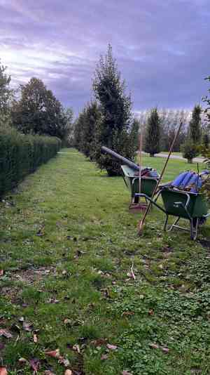 schilder_rijswijk_DP_bouw_en_onderhoud__7.jpg
