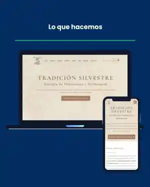 diseno-web_vitoria-gasteiz_Webker_|_Diseño_Web_y_SEO_2.jpg