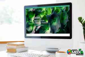 diseno-web_santander_Social_Media_Cantabria_4.jpg