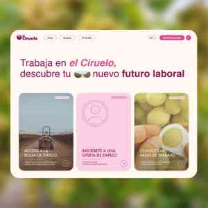 diseno-web_alhama-de-murcia_Gcon_Digital_7.jpg