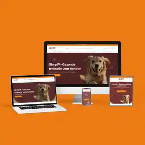 webdesign_wassenaar_De_Online_Website_Bouwer_5.jpg