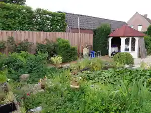 Bouwkundige inspectie van waterhuishouding in achtertuin.jpg