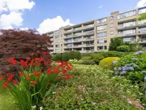 makelaar_oosterhout-nb_IDEALE_Makelaar_5.jpg