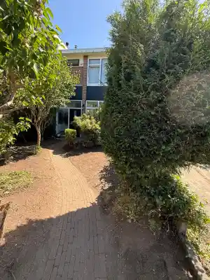 Verwaarloosde tuin opgeknapt .jpg