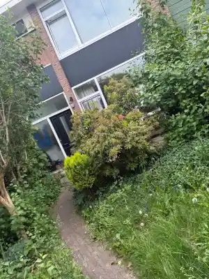 Verwaarloosde tuin opgeknapt .jpg