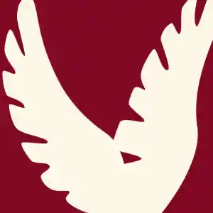 bestatter_aschaffenburg_Pegasus_Institut_für_Bestattung,_Begegnung_und_Kultur_GmbH_2.jpg