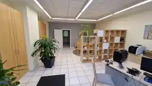 bestatter_frankfurt-am-main_Direktbestatter_GmbH_&_Co.KG_4.jpg