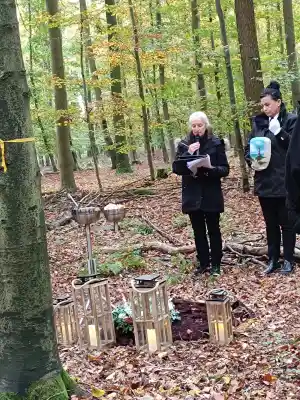 Baumbestattung im FriedWald Main-Tauber – Inmitten der Natur .jpg