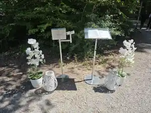 Baumbestattung im Ruhewald Greußenheim – In der Natur zur letzten Ruhe.jpg