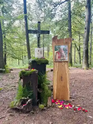 Ruheforst - Baumbestattung.jpg
