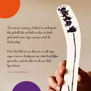 Huisstijlontwikkeling Franka.jpg